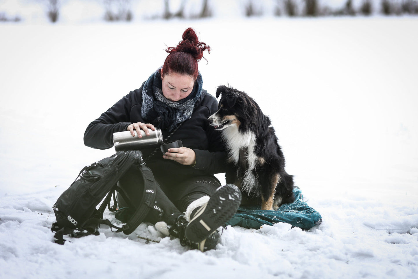 Trekking dog bed