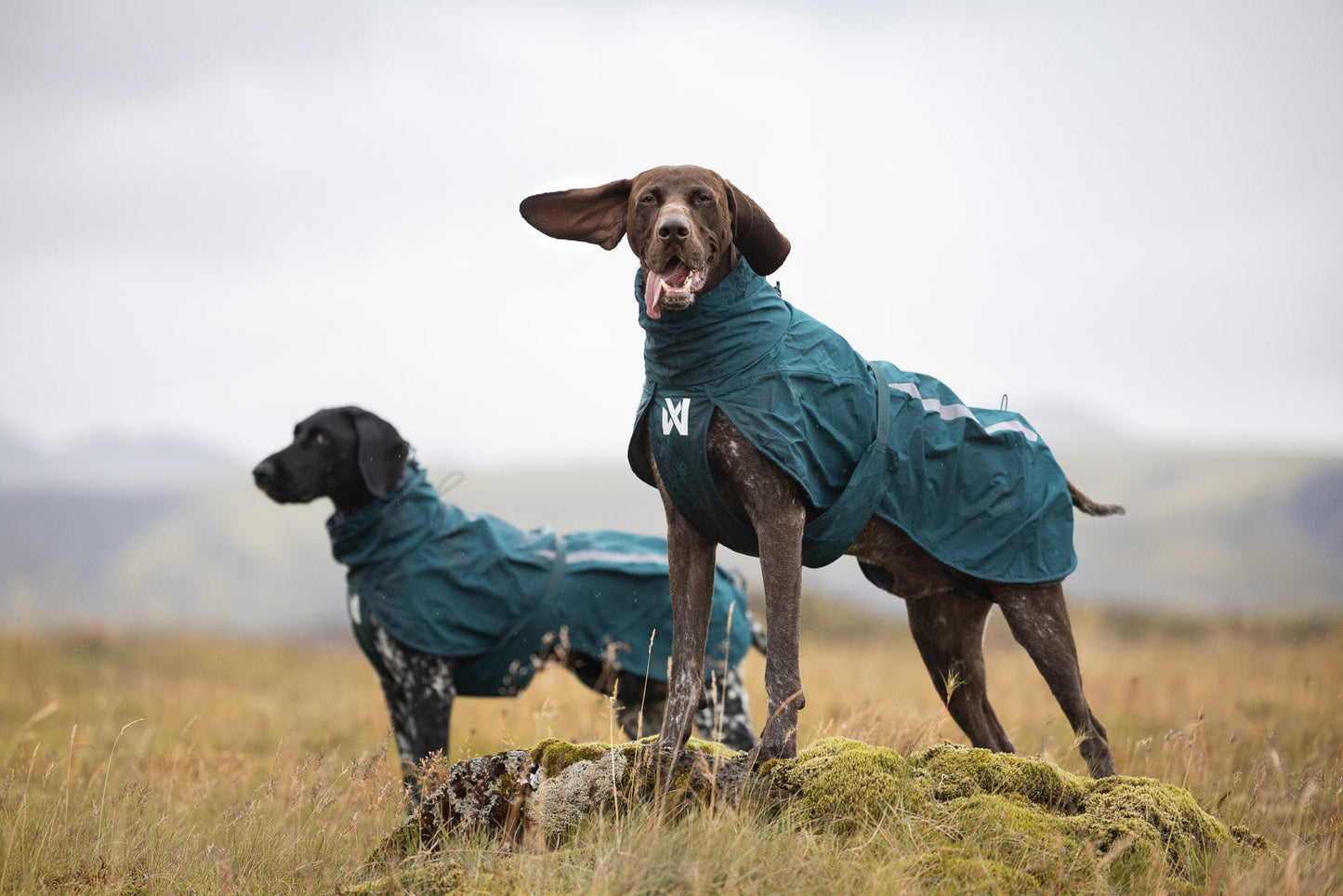 Fjord lined raincoat