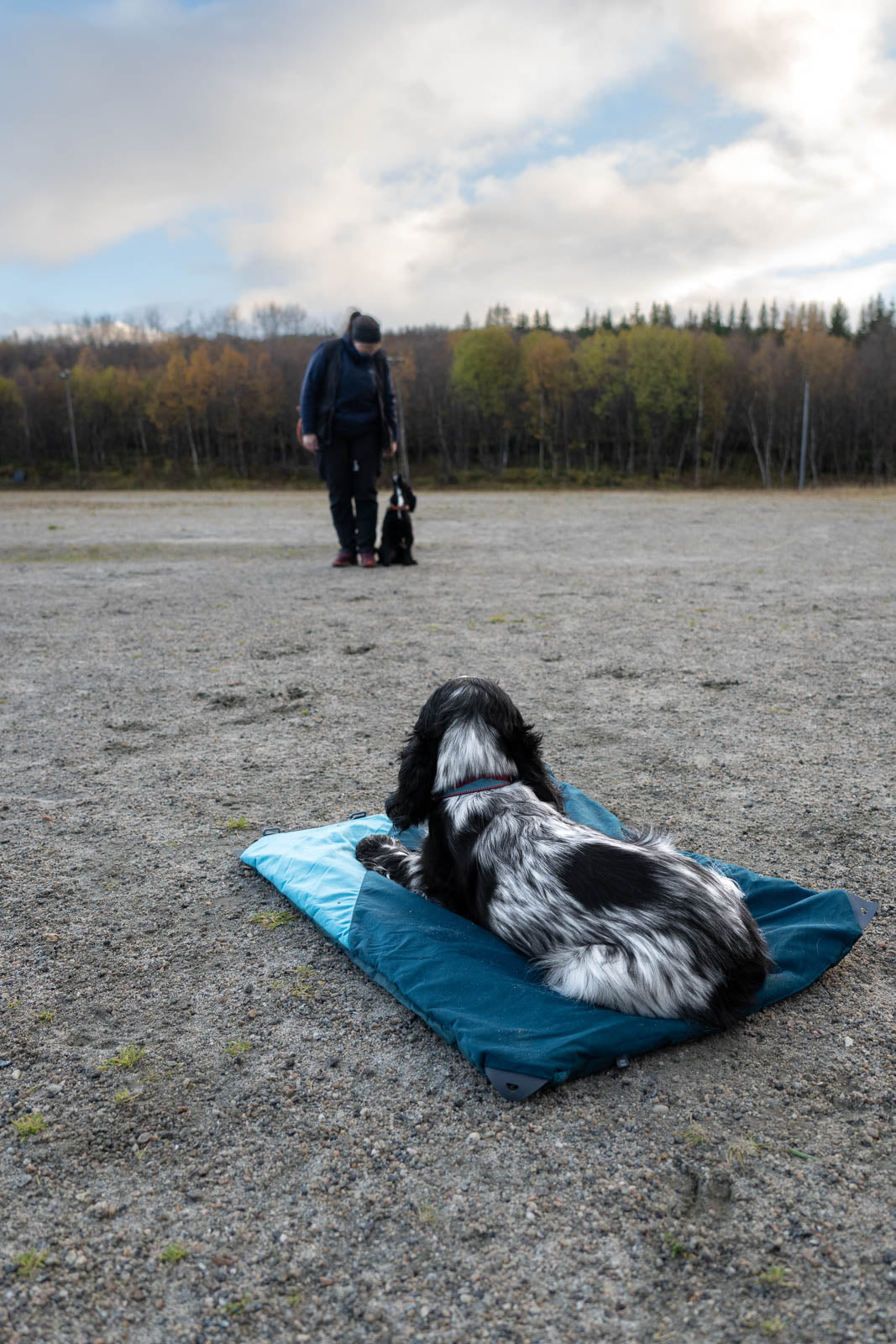 Trekking dog bed