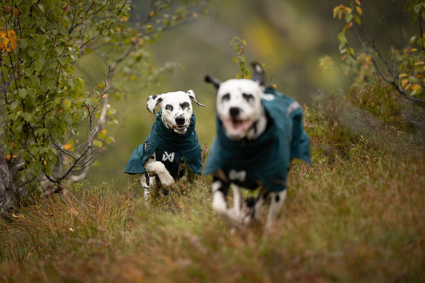 Fjord lined raincoat