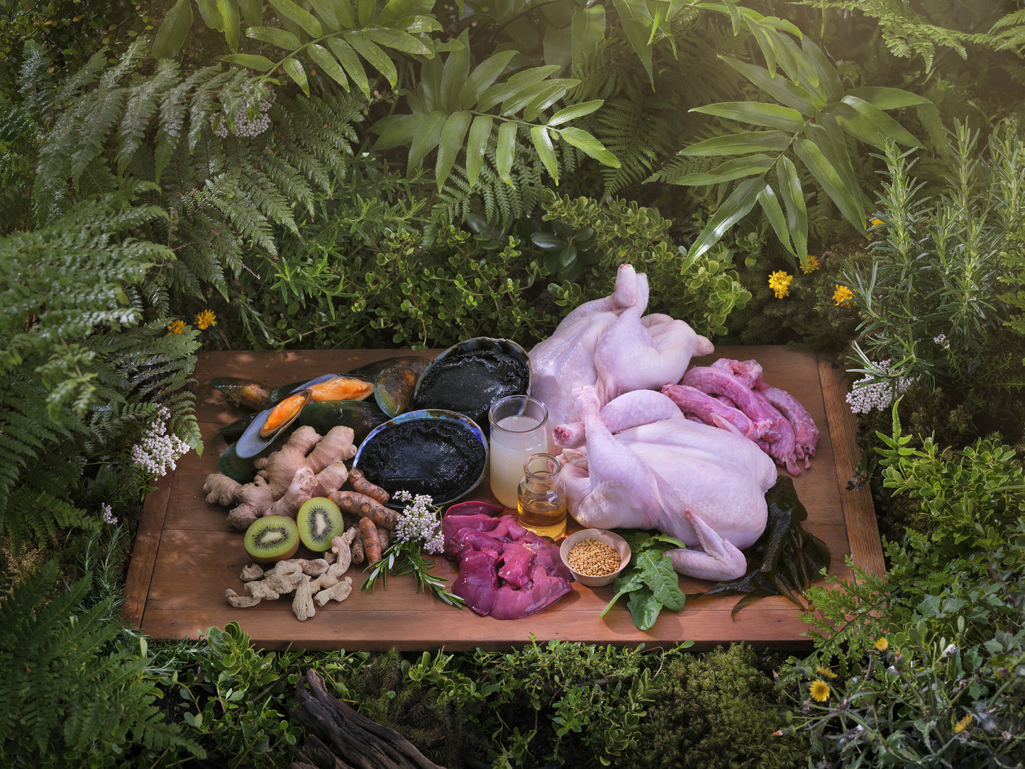 Ziwi Peak Cat Can Chicken Recipe