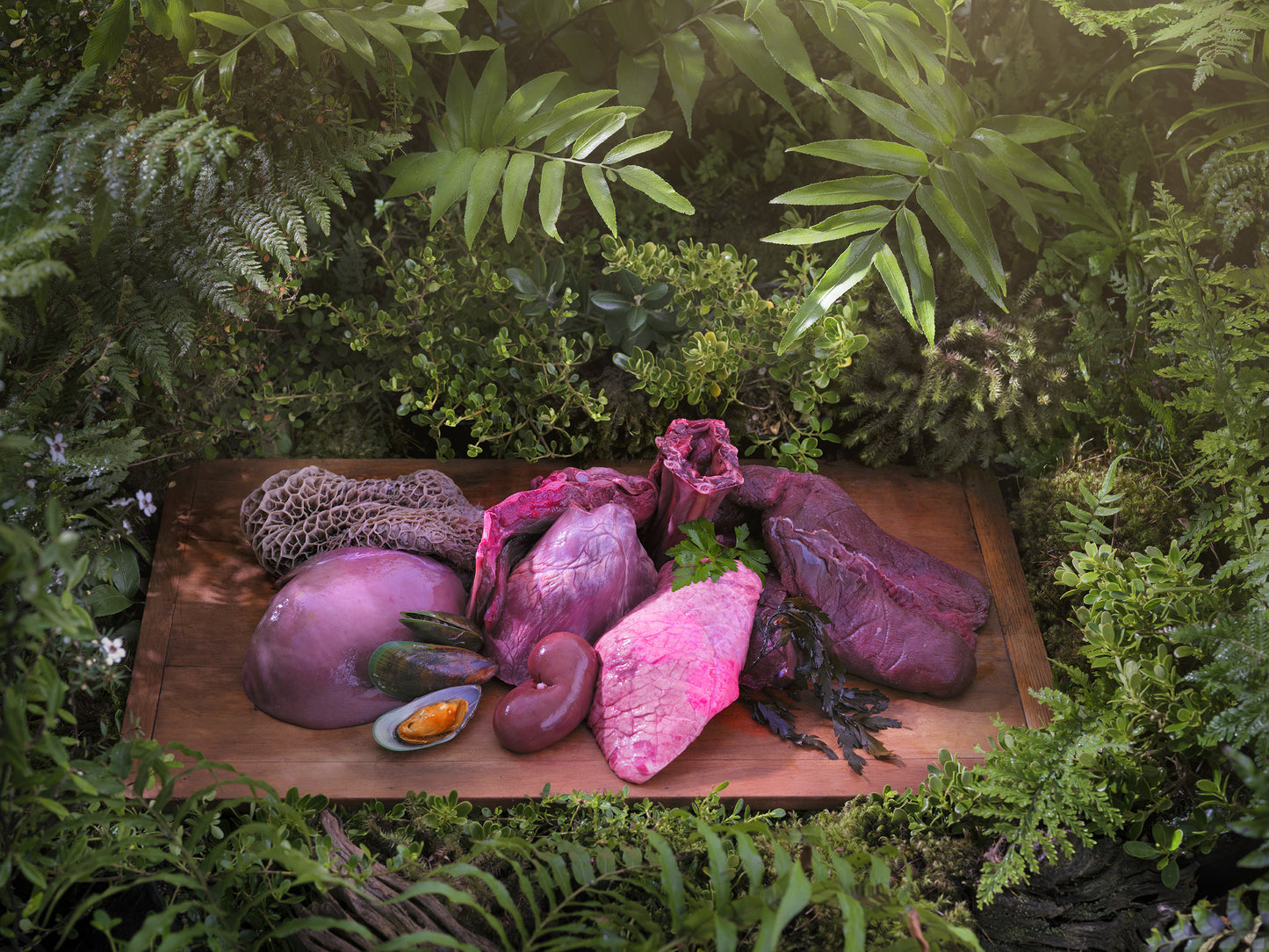 Ziwi Peak Cat Can Venison Recipe